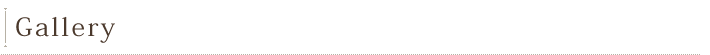 ギャラリー