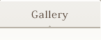 ギャラリー